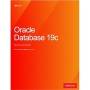 Oracle ORACLE Database 19C ׼