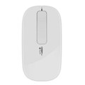  APOINT Apple Mouse White