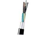 ���Ʊ�������ܿն�ģ12о����(GYXTW-12A)
