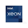 Intel Xeon W-1390T
