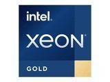 Intel Xeon Gold 5520+