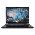 ߲ʺ罫 X16 Pro(i9 13900H/16GB/512GB/RTX4070)