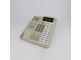 szgwsd WS8481 ׼