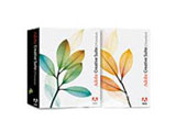 Adobe Creative Suite2 for WindowsӢı׼