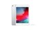 ƻ ¿iPad mini 201964GB/WLAN棩