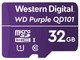  Western Data QD101 (32GB)