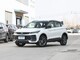 Խ 2025 ԽL 1.5TD DCTҫ